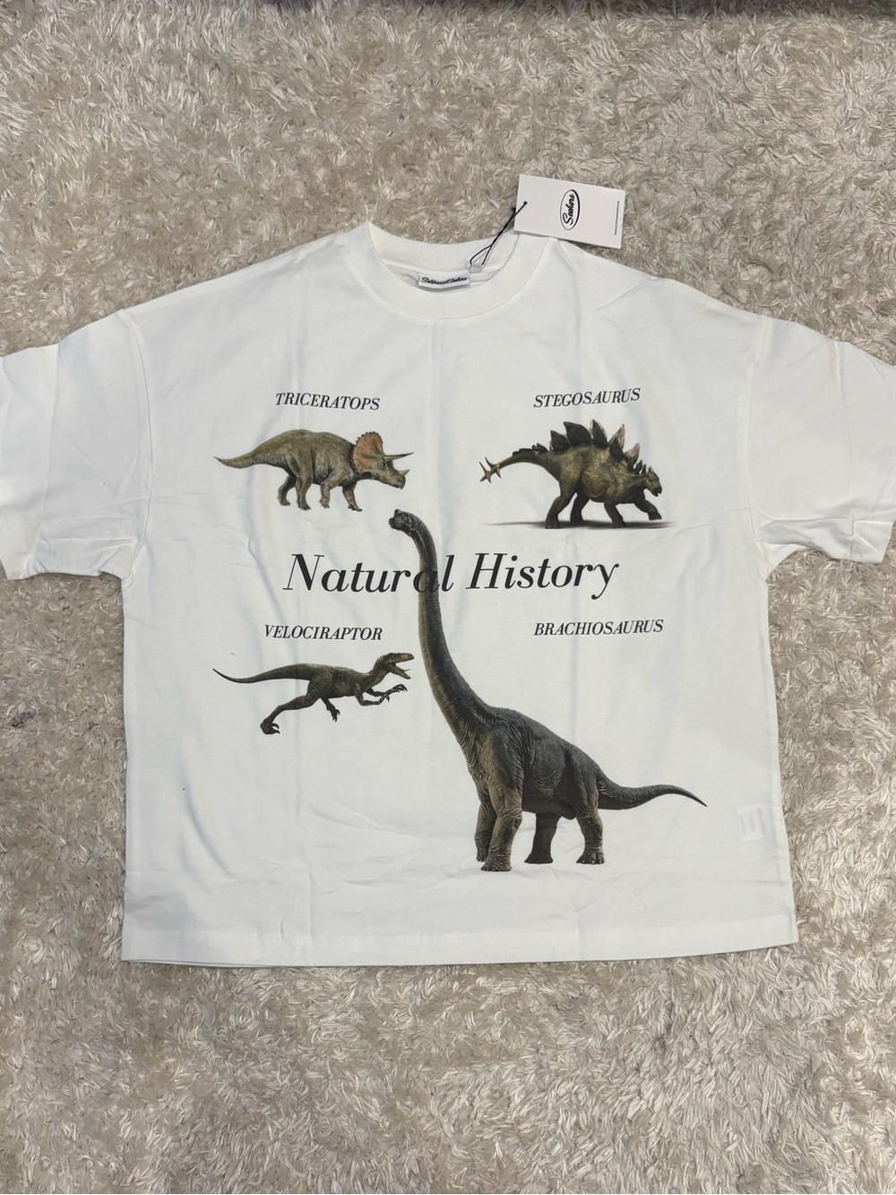 Natural History Dinosaur Graphic Tee - White - Women